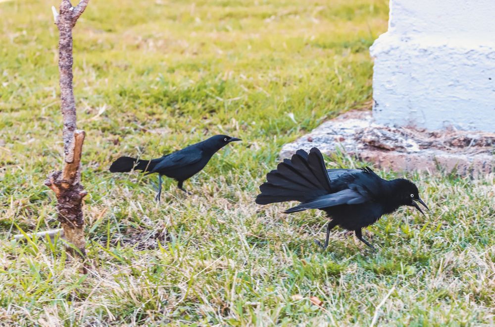 Photograph by Ольга Нецеля