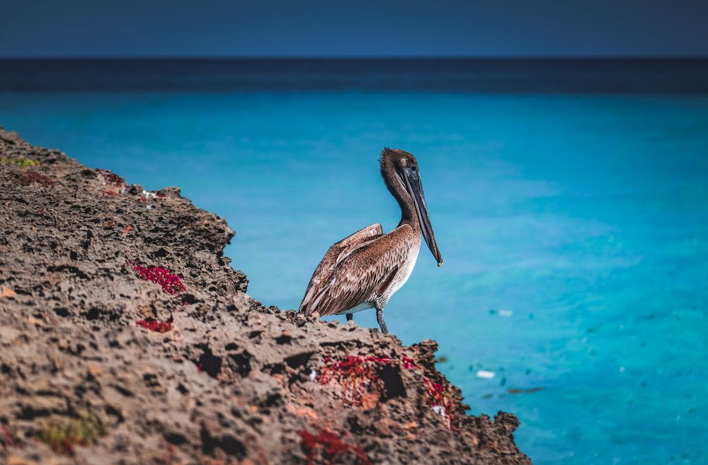 Photograph by Ольга Нецеля