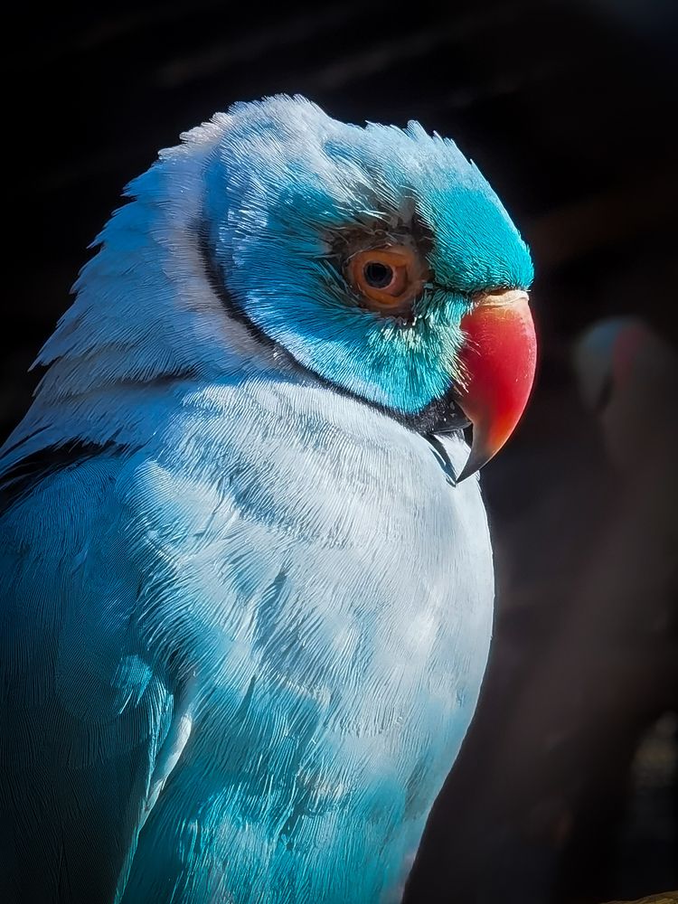 Photograph by Volkan Özdemir