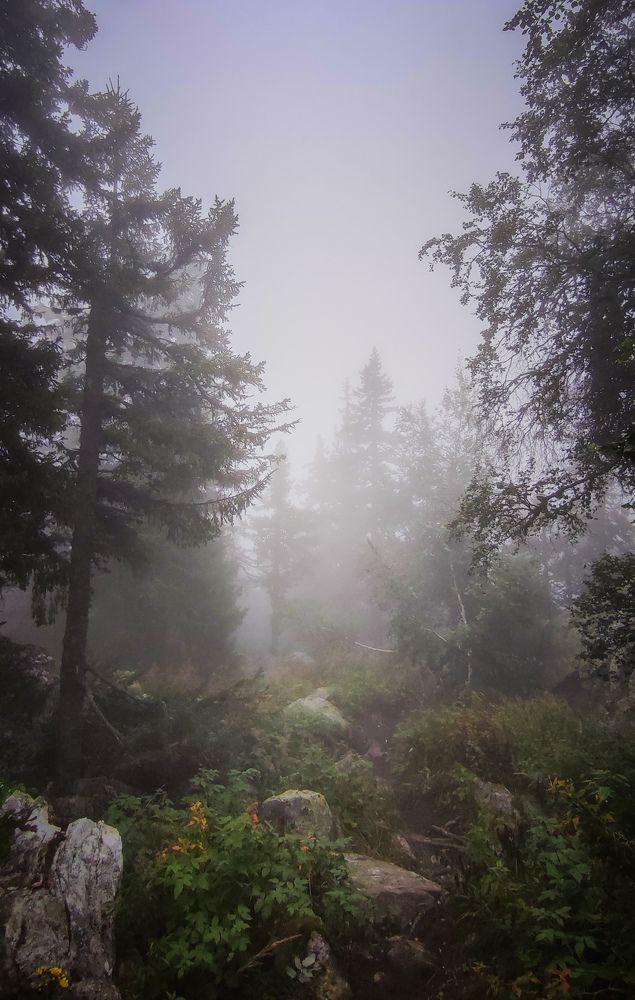 Photograph by Андрей Фадеев