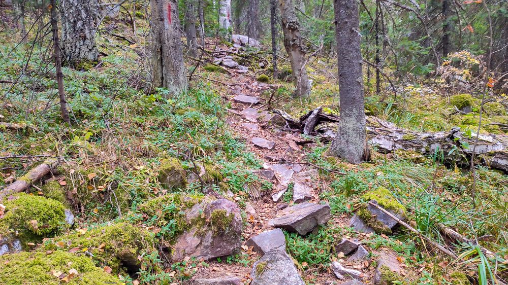 Photograph by Андрей Фадеев