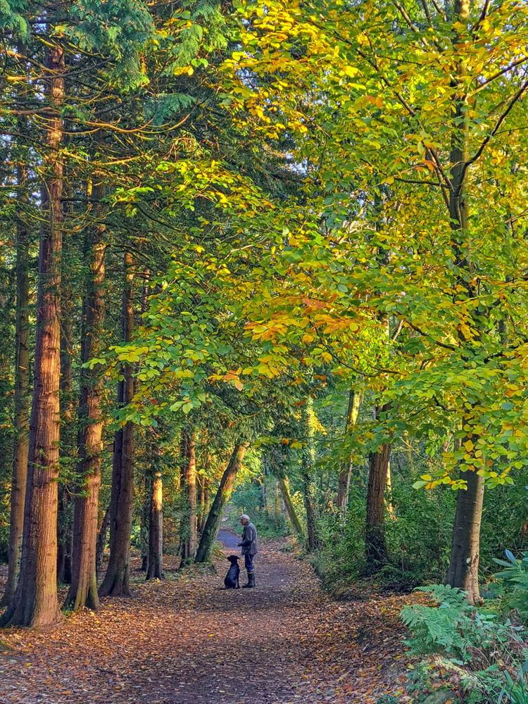 Photograph by Elena Boriskova