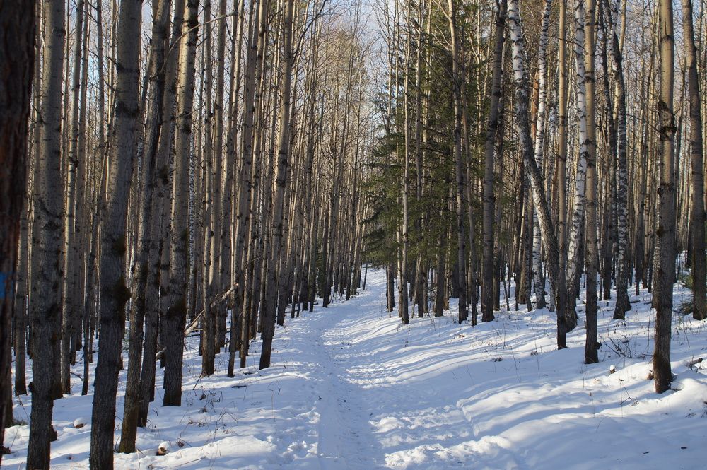 Photograph by Владимир Семиченко