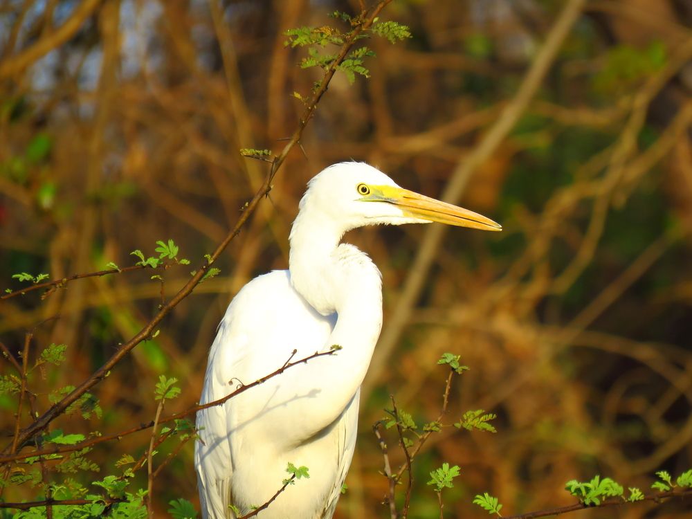 Photograph by ACHIEVEMENT LOVER