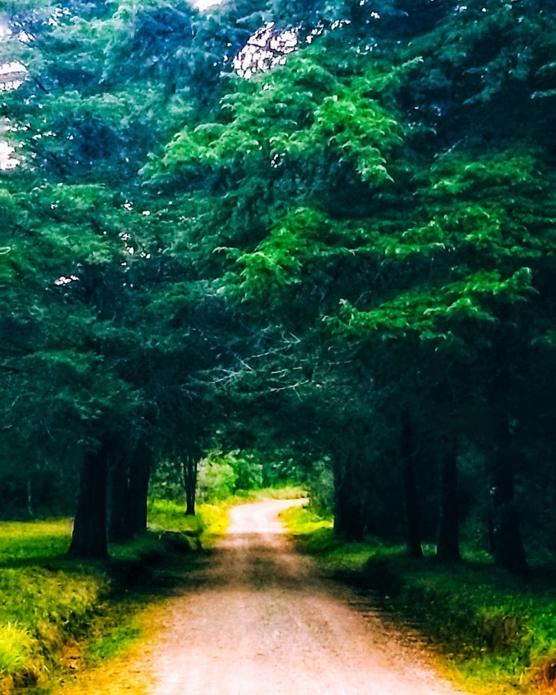 Photograph by adriana menez