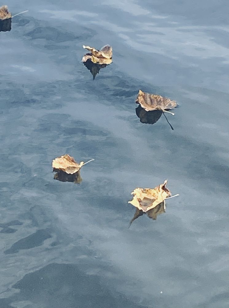 Photograph by Ольга Струкалина