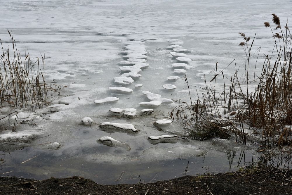 Photograph by Ольга Струкалина