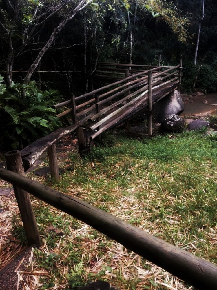 Photograph by adriana menez