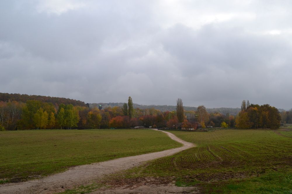 Photograph by Надежда Чаплынская