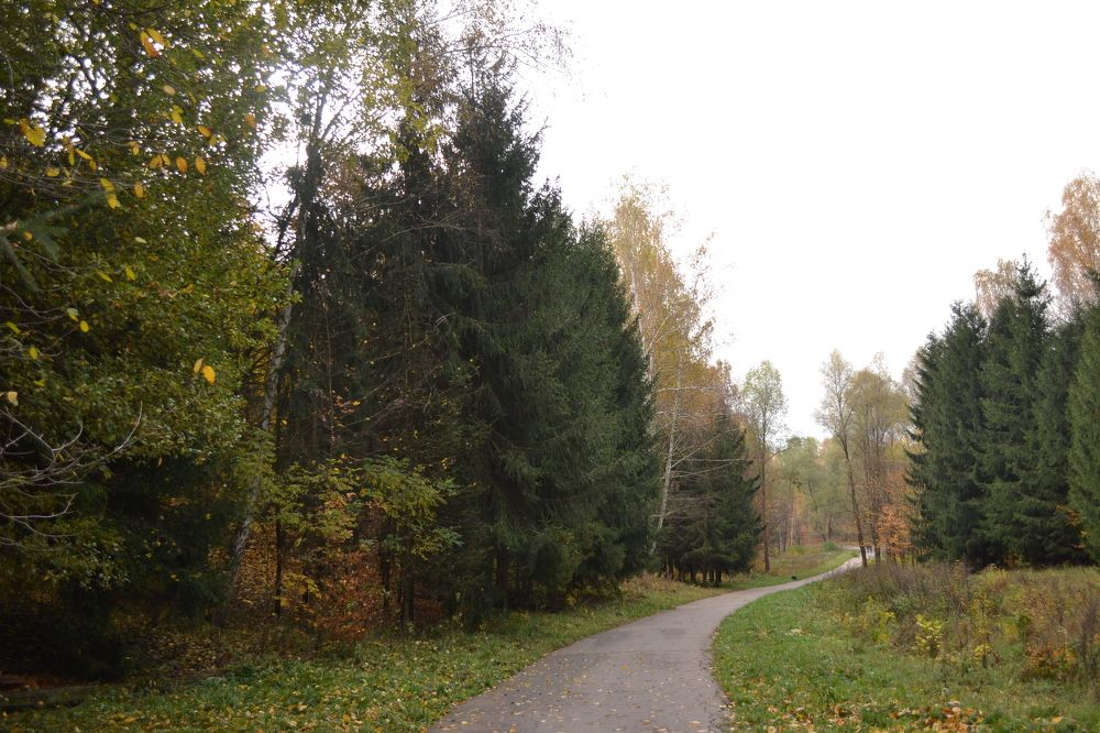 Photograph by Надежда Чаплынская