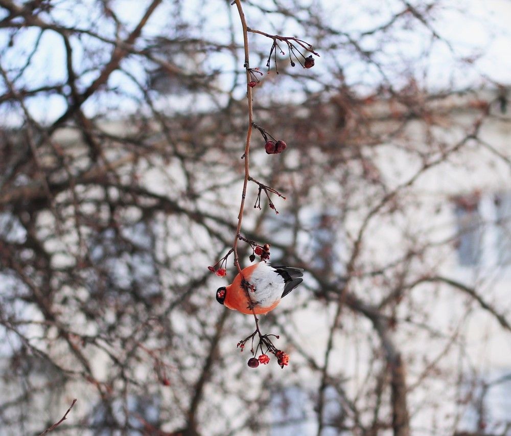 Photograph by Любовь Иванова