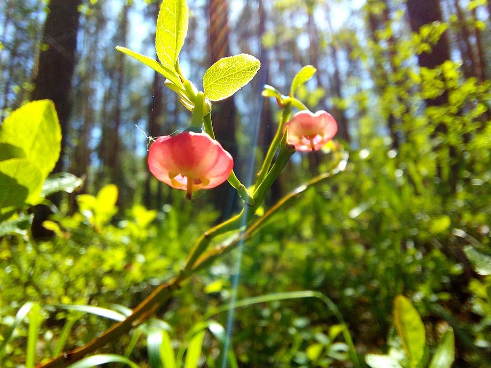 Фотография автора Анастасия