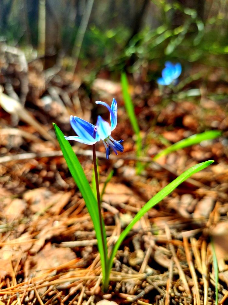 Фотография автора Анастасия