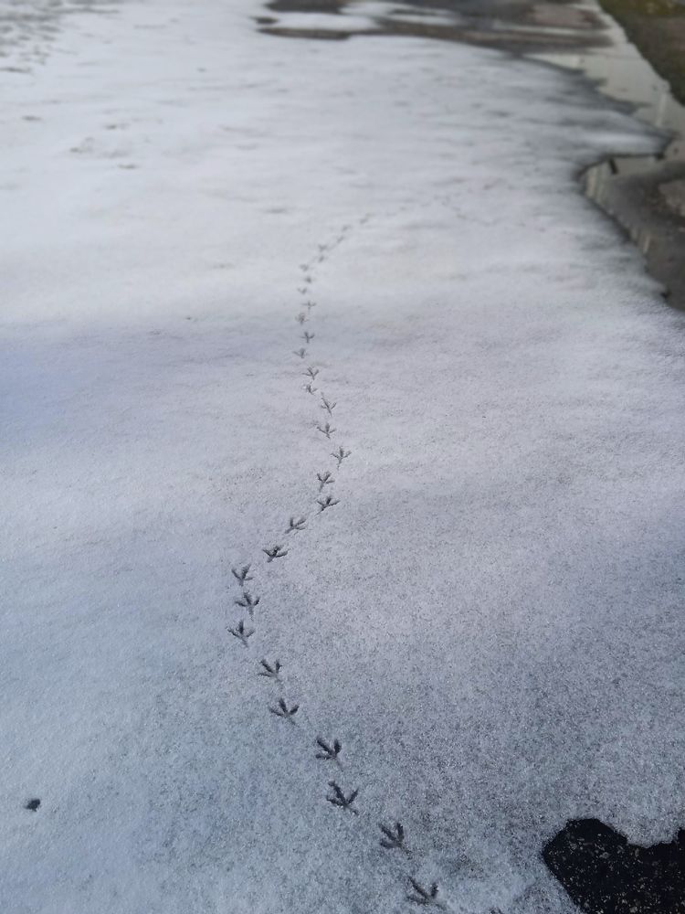 Photograph by Наталья Сорокина