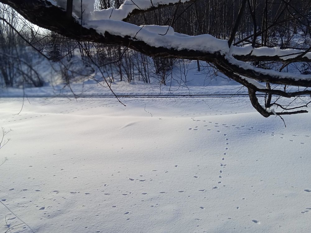 Photograph by Наталья Сорокина