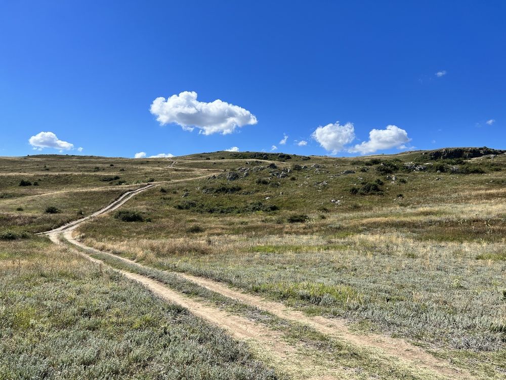 Photograph by Лариса