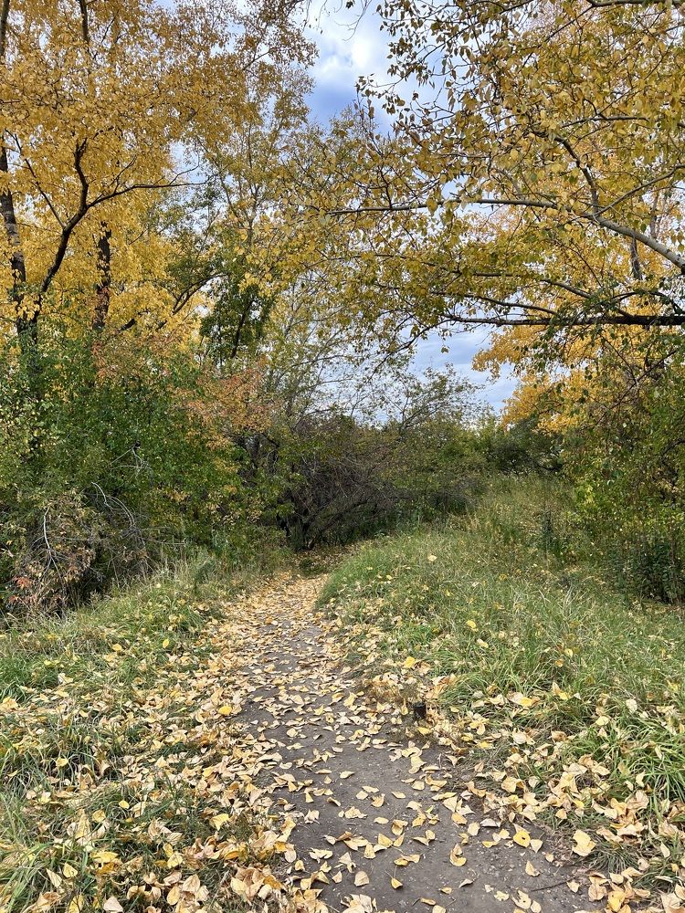 Photograph by Лариса