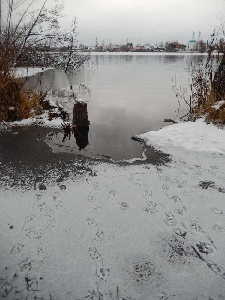 Утиные следы.