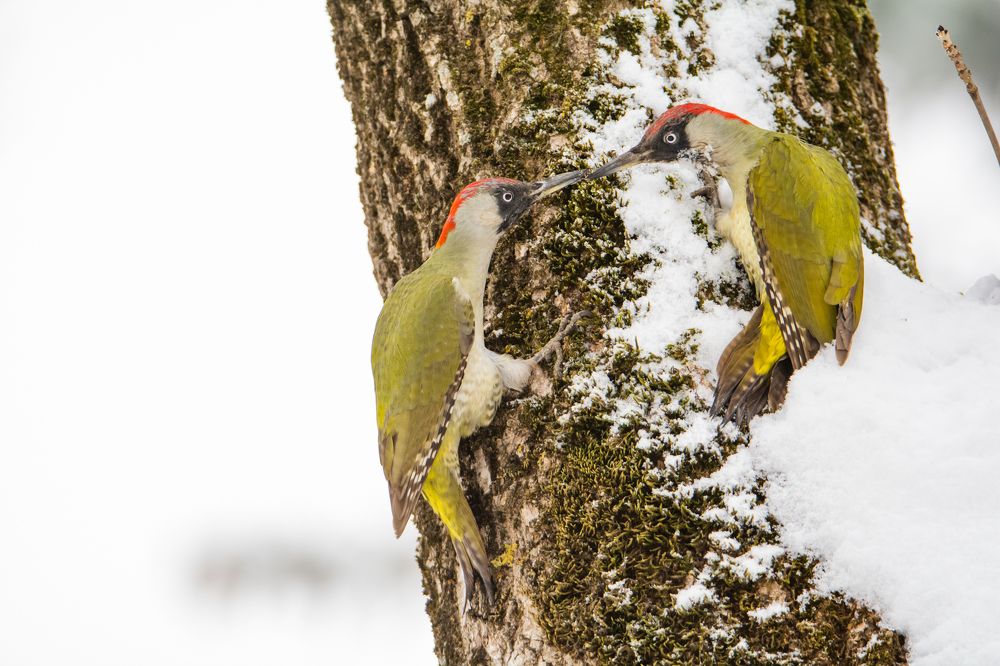 Photograph by Саша Козырев