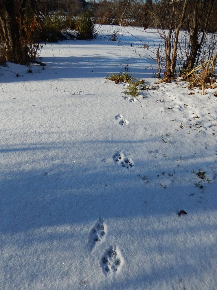 Фотография автора Клавдия Васильева