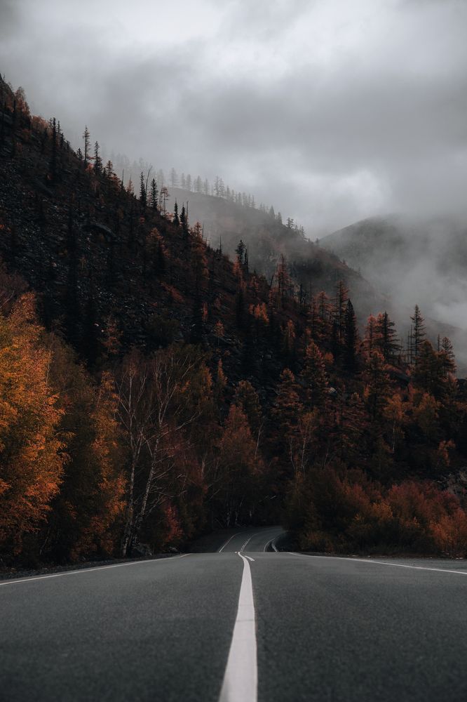 Photograph by Ярослав Чаадаев