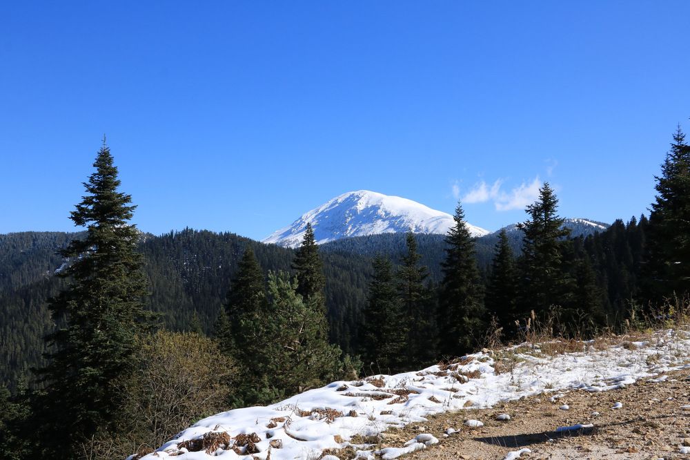 Photograph by Cengiz Yalcin