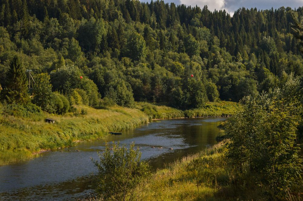 Photograph by Елена Квасова