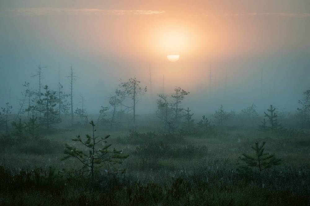 Photograph by Соколова Елена