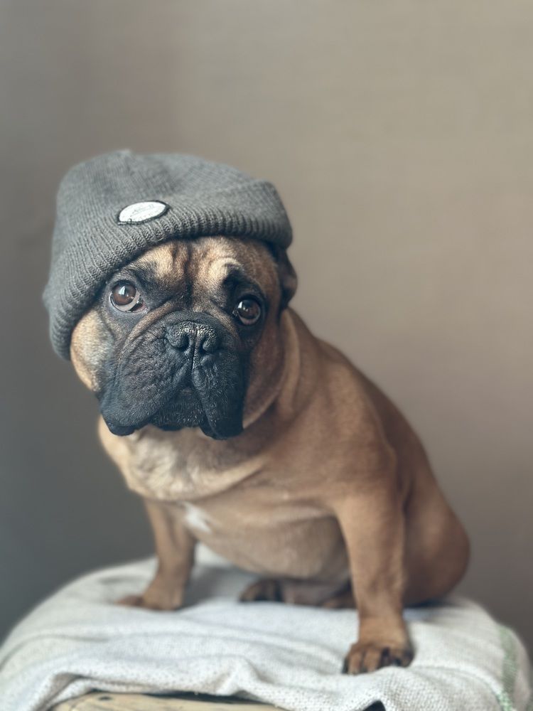 Photograph by Светлана