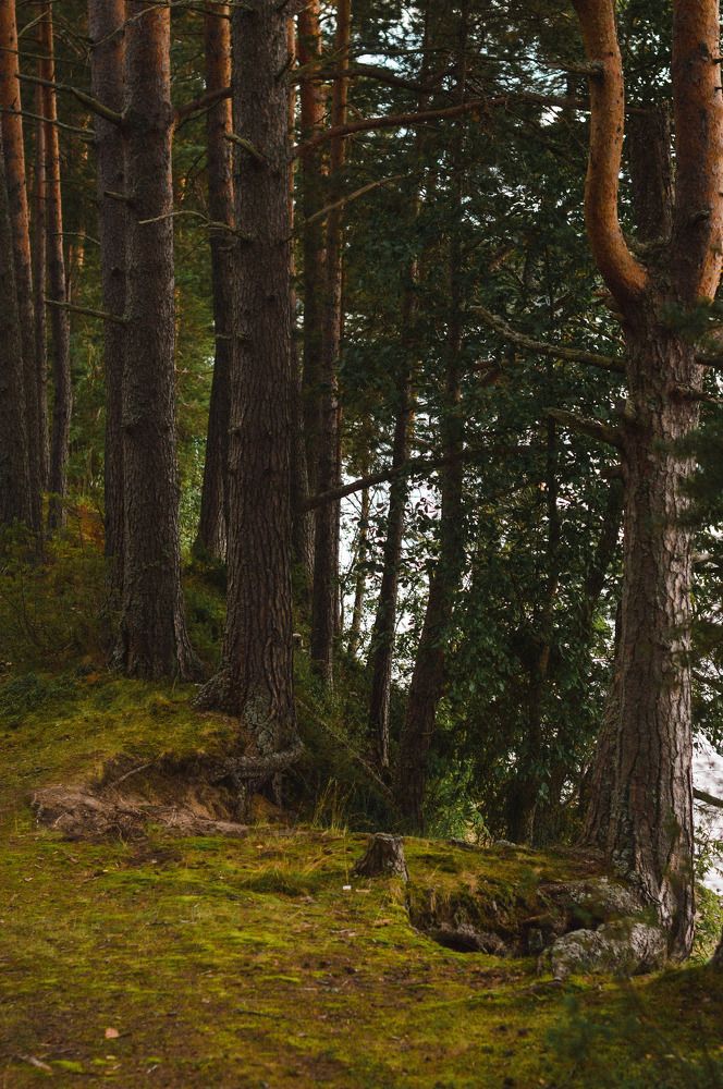 Photograph by Елена Квасова