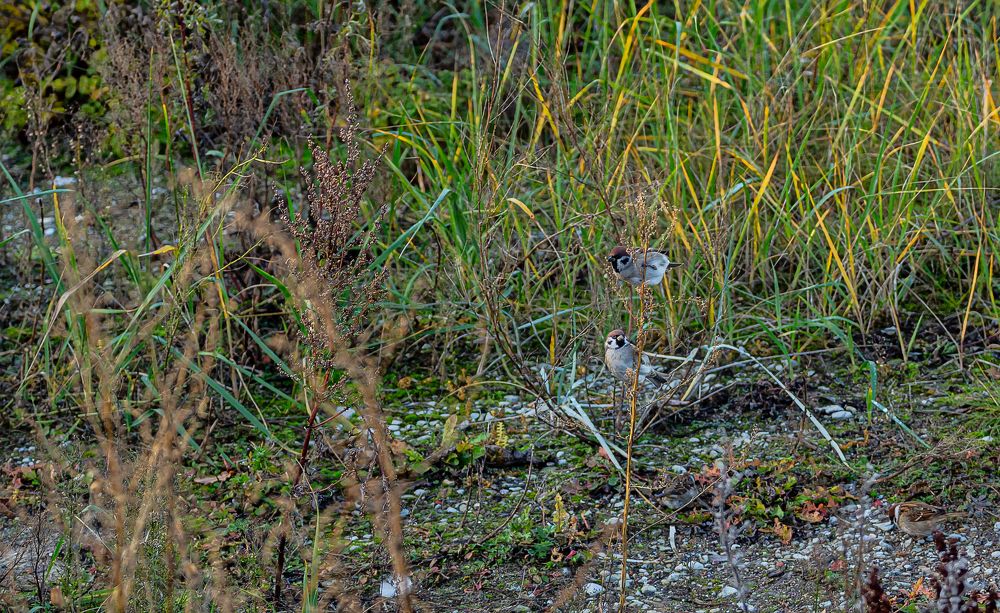 Photograph by yuri kutukov