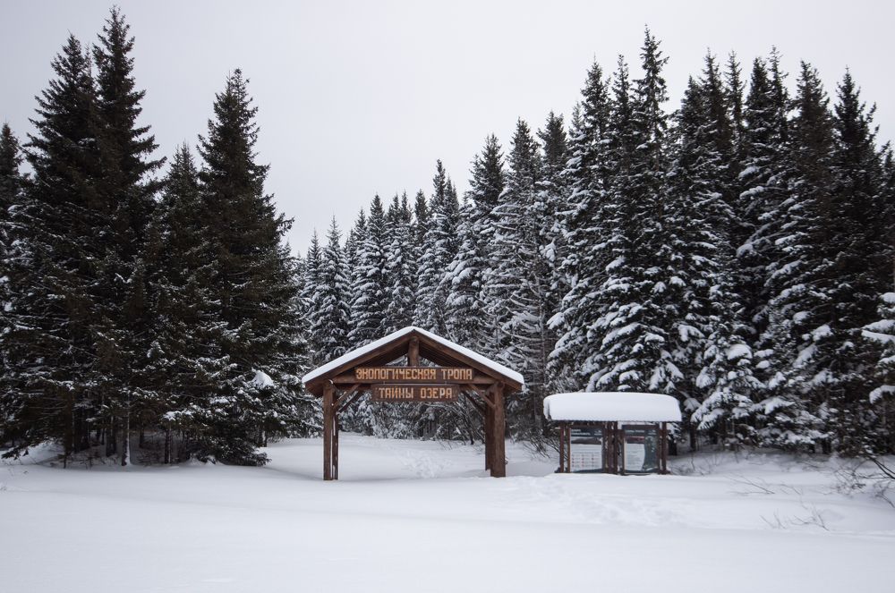 Photograph by Сергей Хранитель