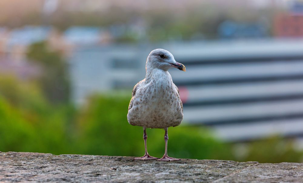 Photograph by yuri kutukov