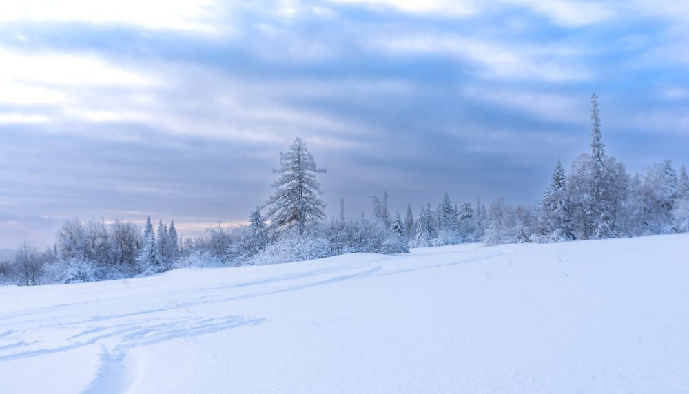 Photograph by Сергей Хранитель