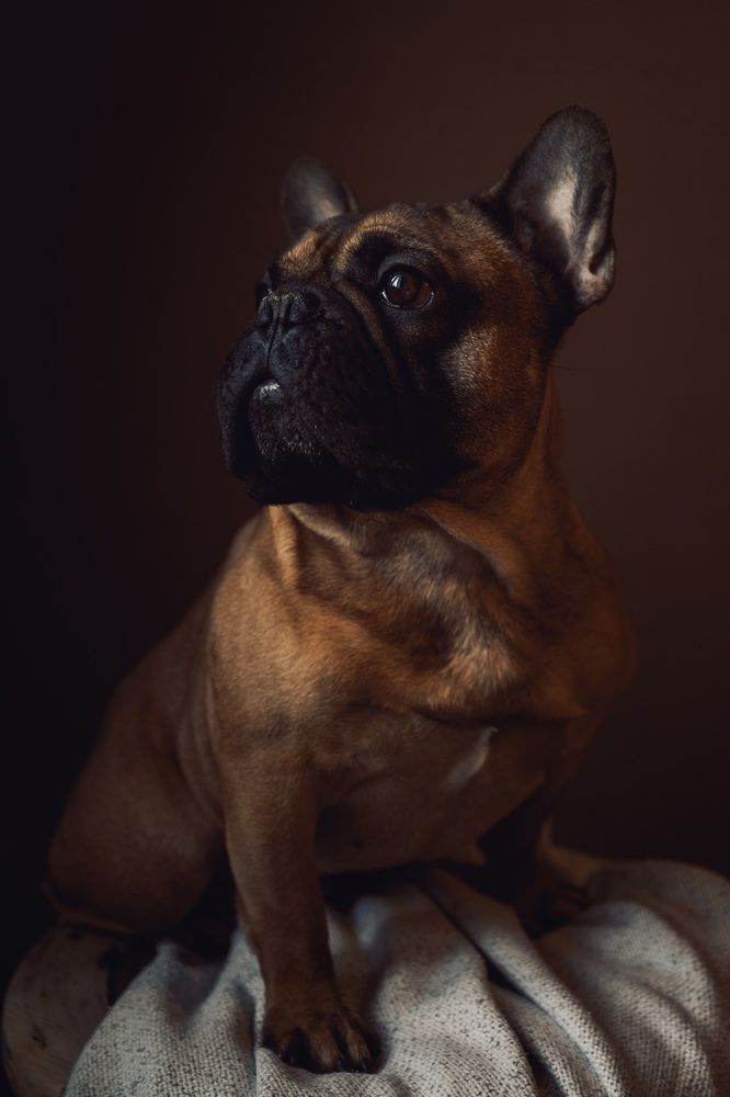 Photograph by Светлана