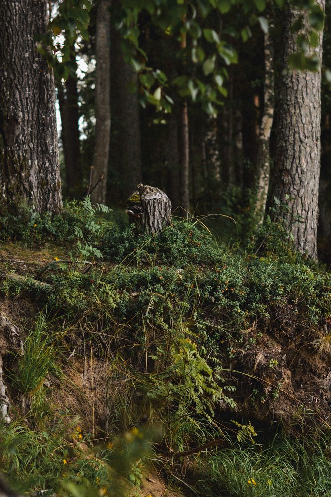 Photograph by Елена Квасова