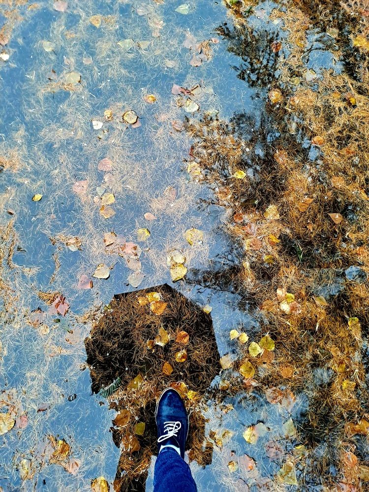 Photograph by Александра Насырова