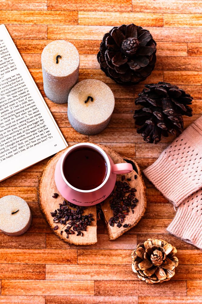 Photograph by Maryam Talepoor