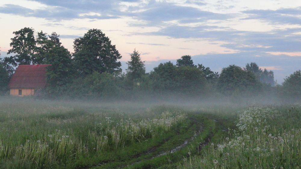 Photograph by Алла Бойко