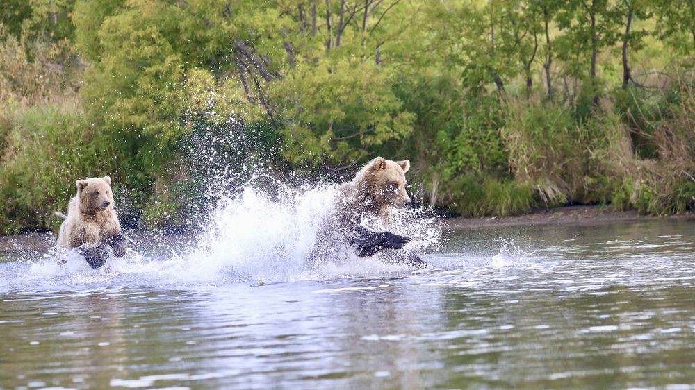 Photograph by Ольга Одаренко