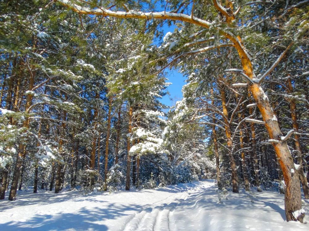 Photograph by Анжелика Трошина