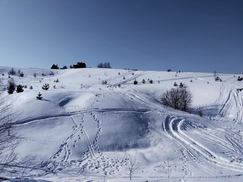 Photograph by Ольга Мартьянова