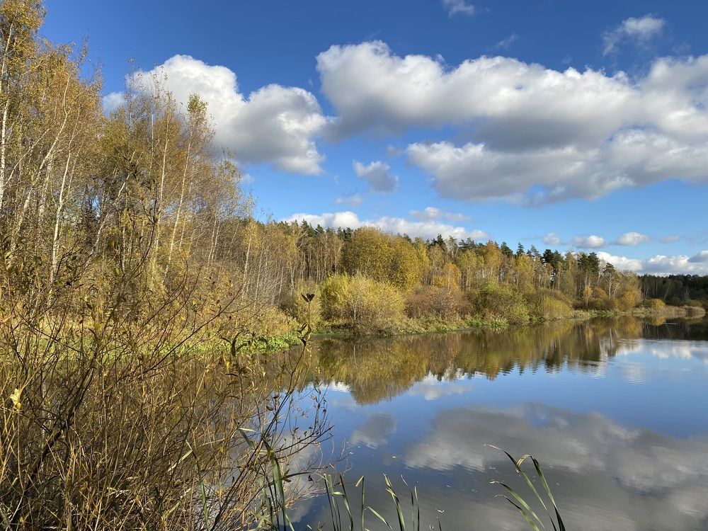 Госпожа Осень