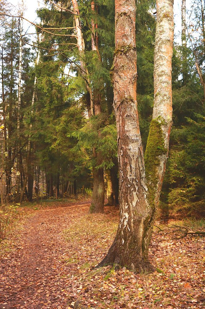 Photograph by Гагик Саркисян