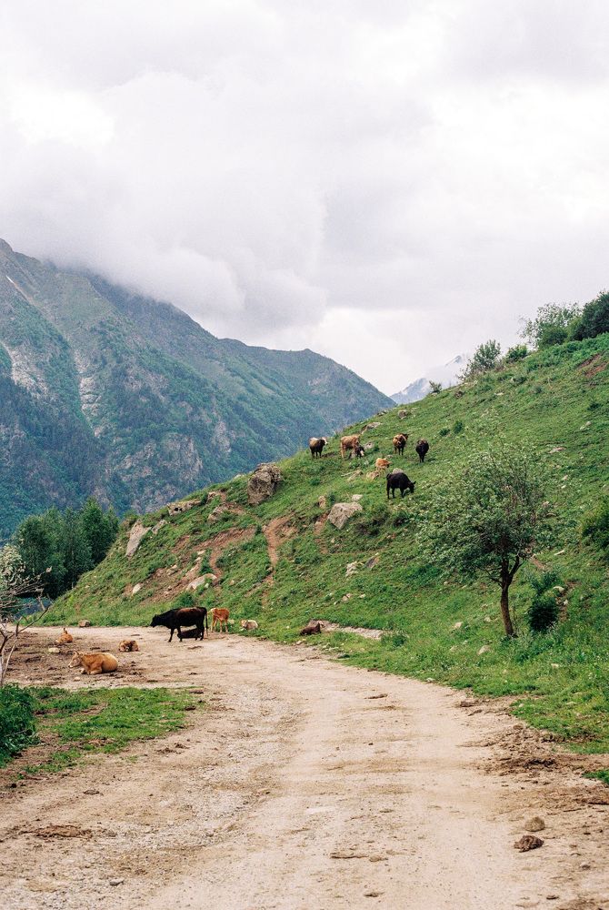 Photograph by Роман Кустов