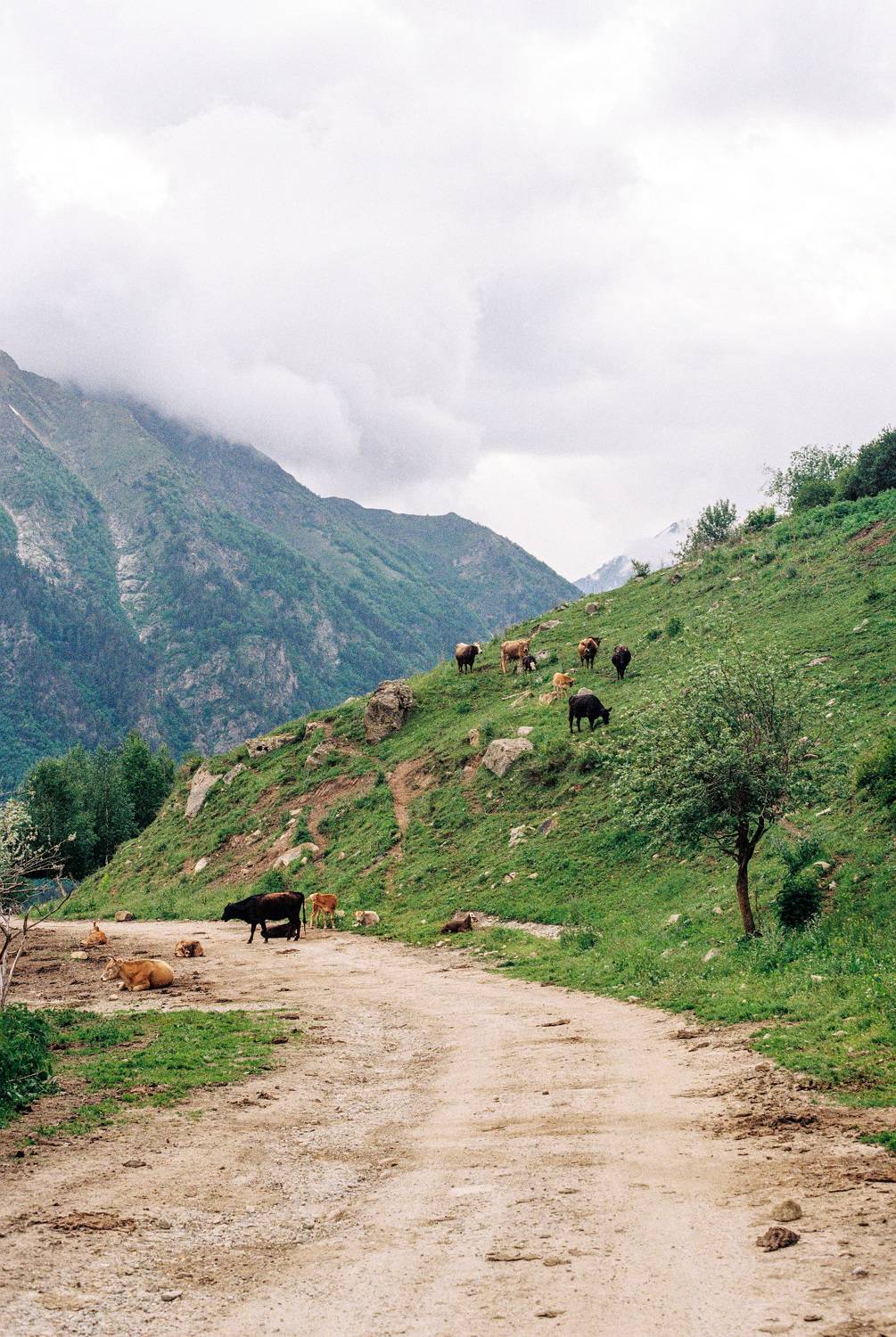 Photo #11253045