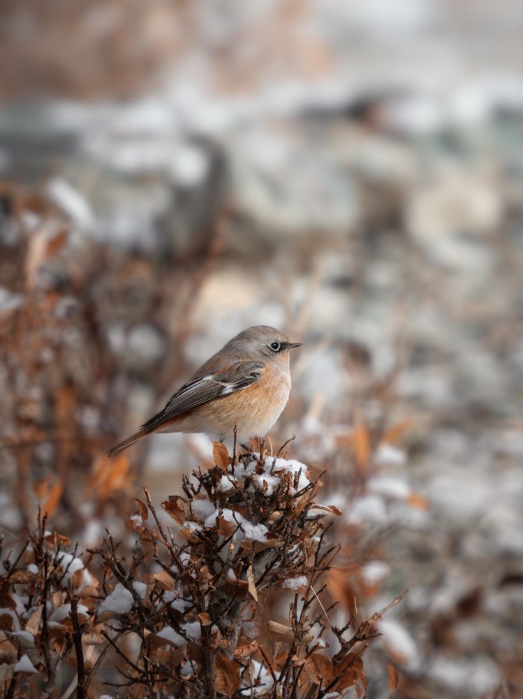 Photograph by Мозжухин Максим