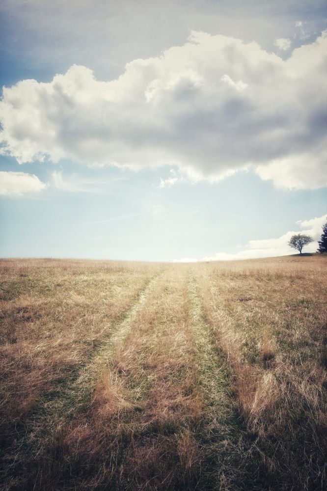 Photograph by FILIP BETKO