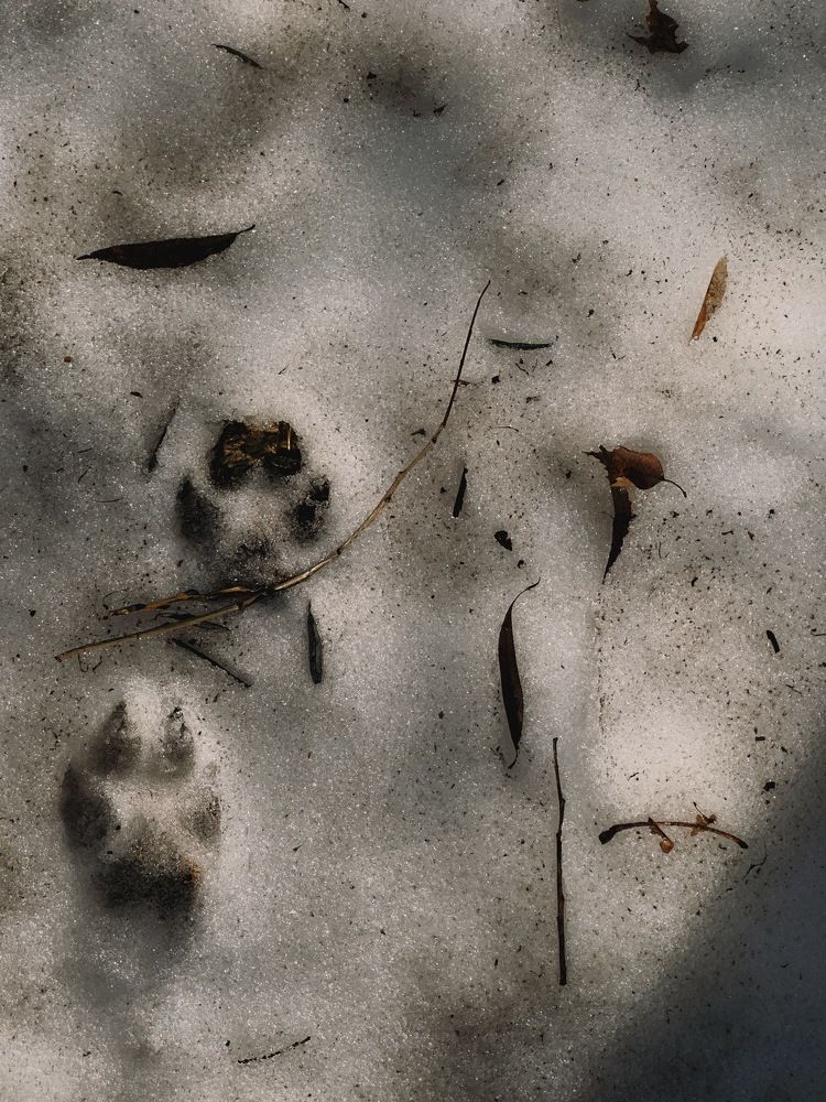 Photograph by Алёна