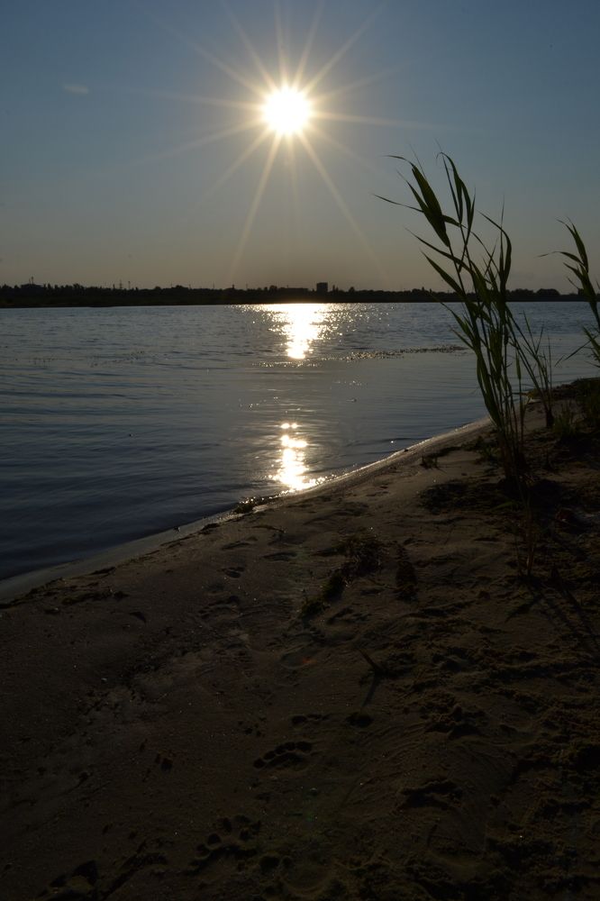Photograph by Надежда Чаплынская